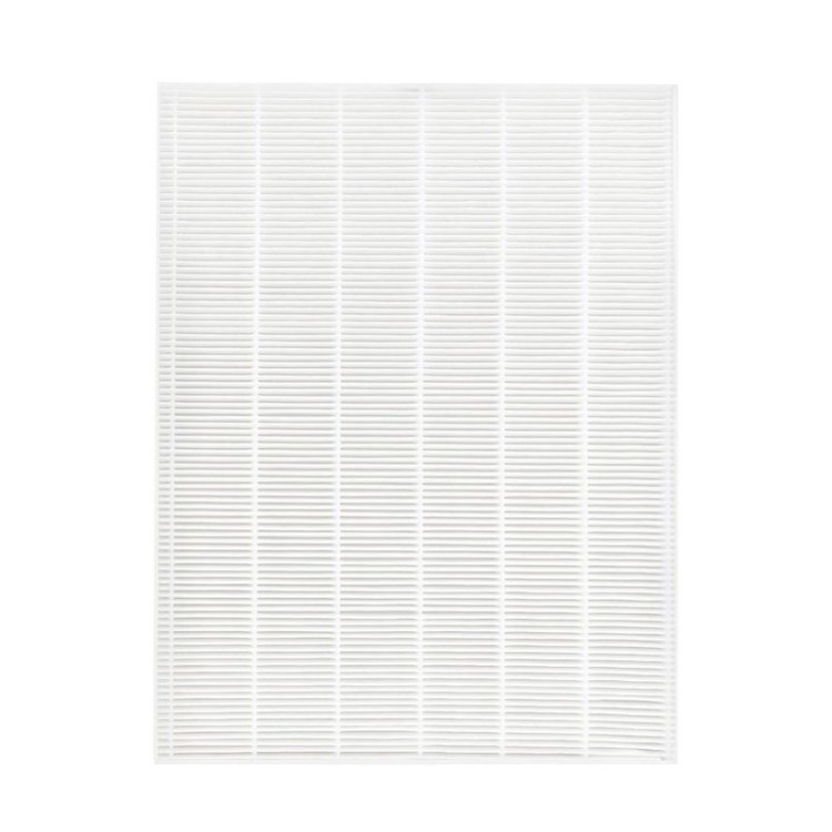 Winix 116130 Filter H Replacement Kit, True HEPA + Washable AOC Carbon Filter for Winix 5500-2 & AM80 Air Purifiers